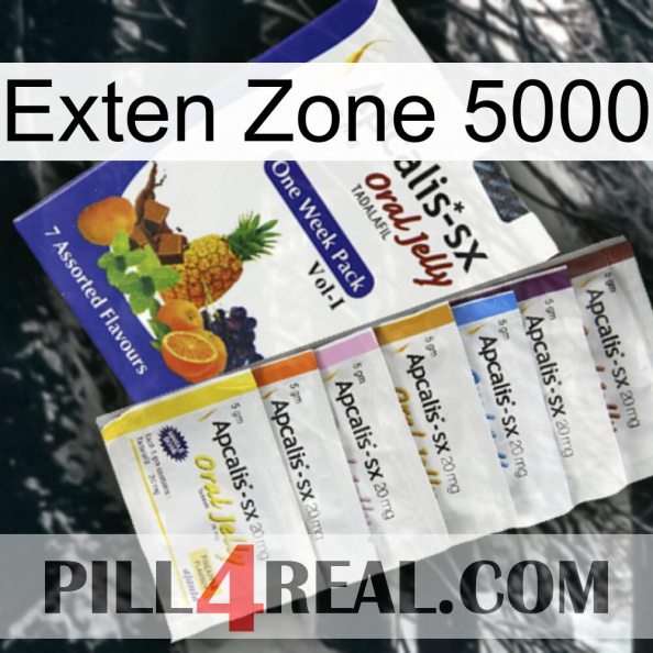 Exten Zone 5000 11.jpg